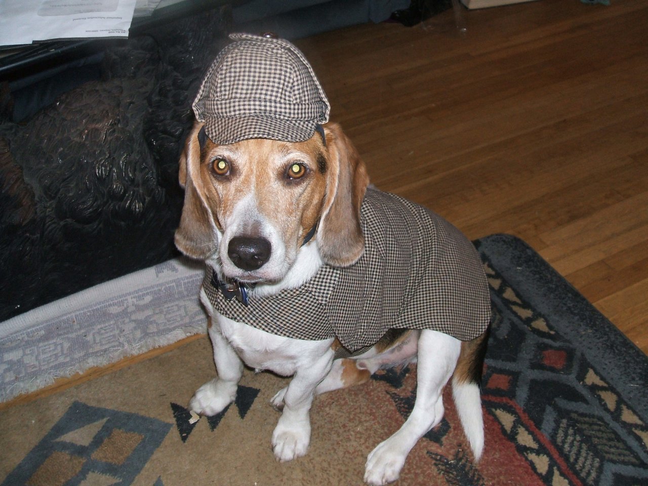 Dog Detective Bud Rebel Productions